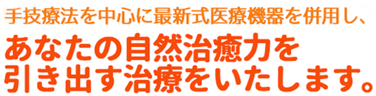 手技療法を中心に最新式医療機器を併用しあなたの自然治癒力を引き出す治療をいたします